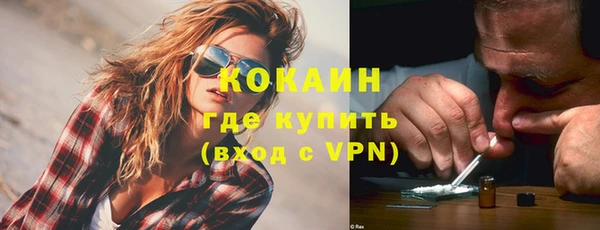 мдпв Краснослободск