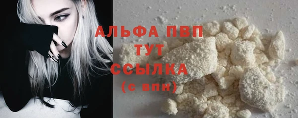 тгк Абаза