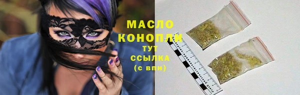 тгк Абаза