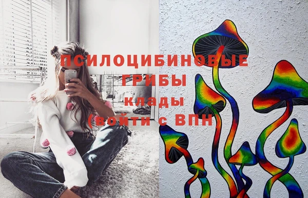 тгк Абаза