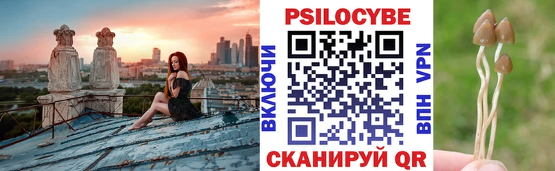 mega вход  где купить наркоту  Александров  Галлюциногенные грибы GOLDEN TEACHER 